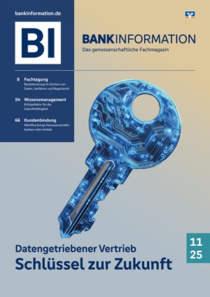 BankInformation 11/2025